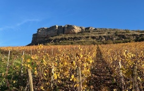 2024 Burgundy: an old stager&rsquo;s perspective