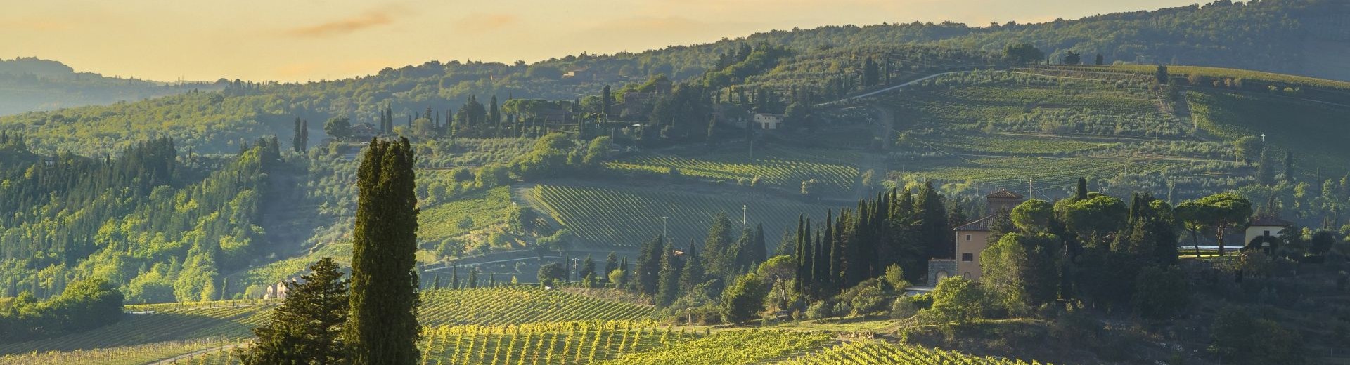 Nostra Italia 2026