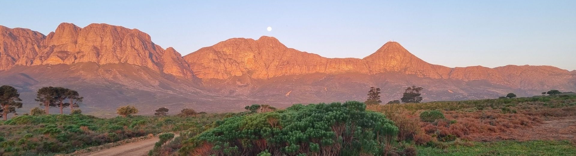 South Africa Next Chapter