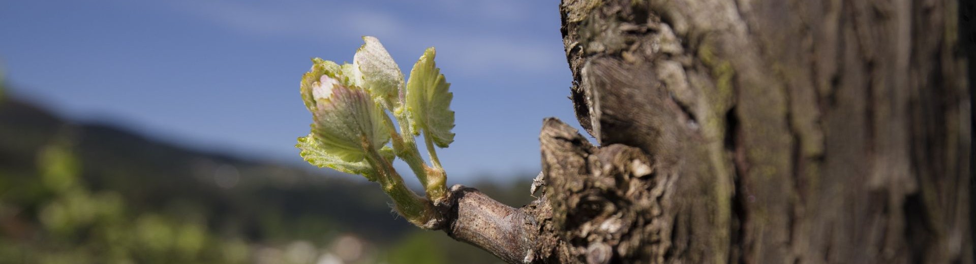 Spring Collection 2026 - Save up to 15%