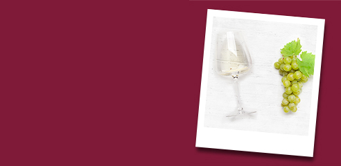 Wholesale White Wine