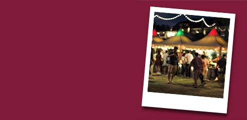 Wholesale Wine For Festivals