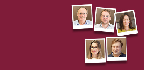 Meet the team