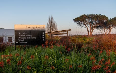 Compagniesdrift, Stellenbosch