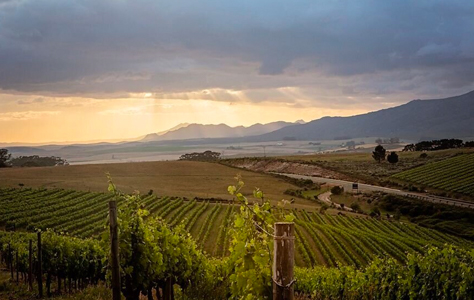 Domaine des Dieux