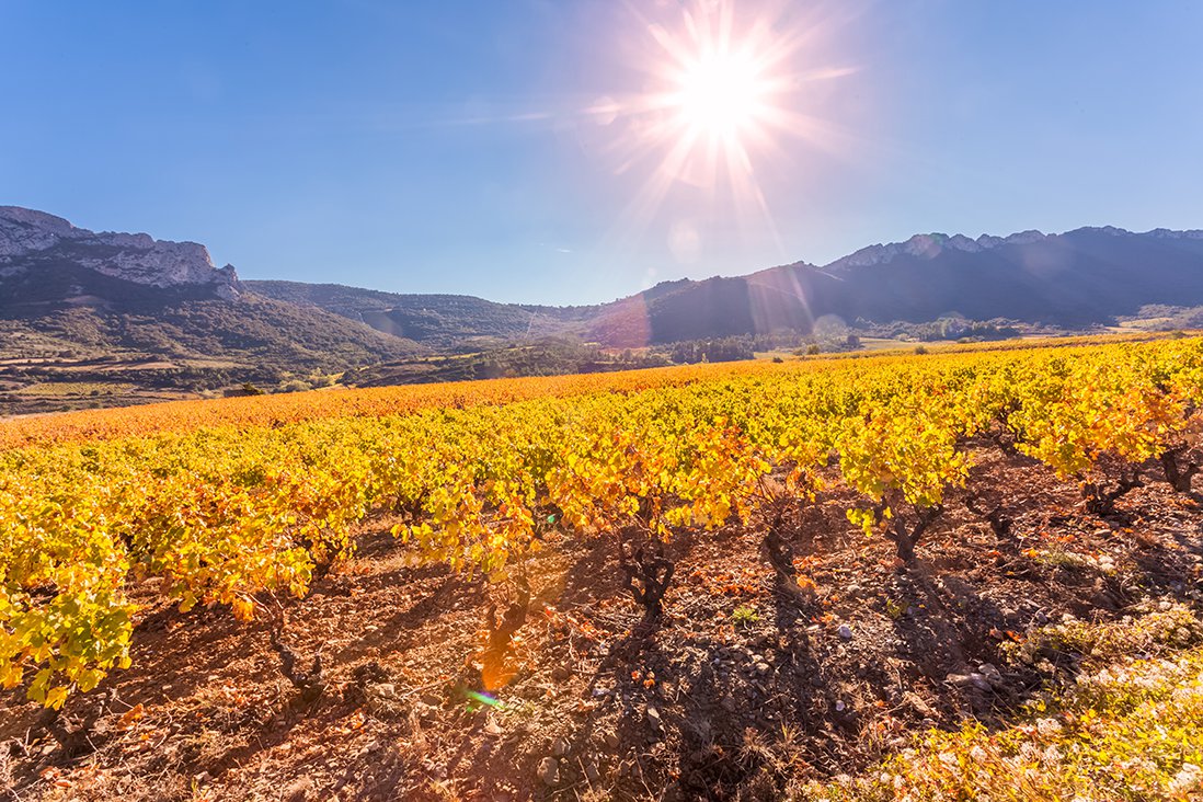 The Beautiful South: Top 5 Languedoc-Roussillon Wines for 2022