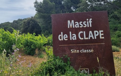 La Combe Saint-Paul, La Clape