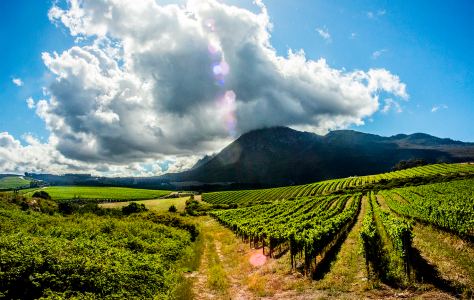 Newton Johnson, Upper Hemel-en-Aarde