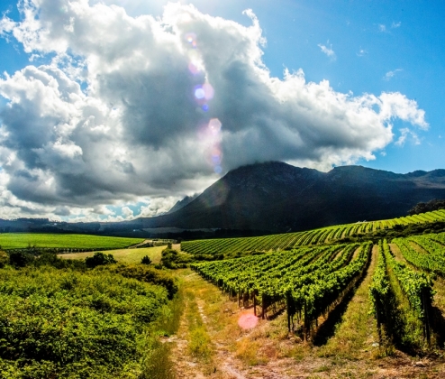 Burgundy & Beyond: Six Stars