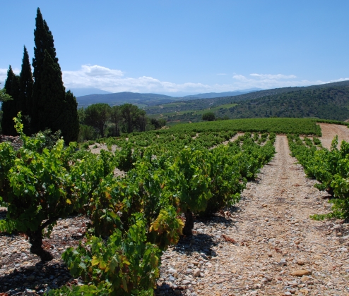 Terroirs Of The Beautiful South