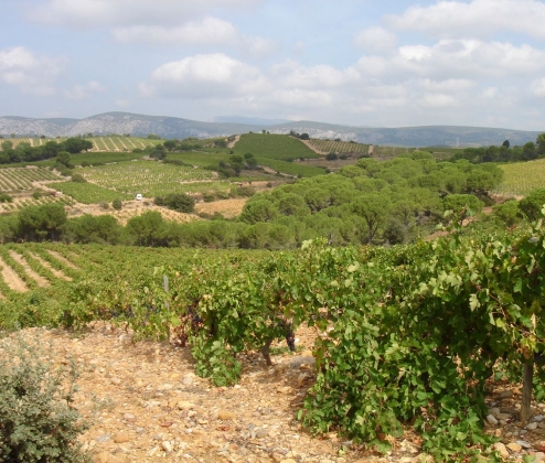 Grand Rouges Du Sud
