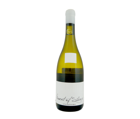Blankbottle, Moment of Silence, Wellington, 2020