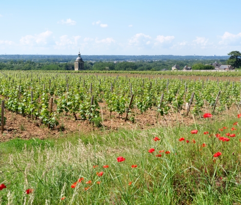 Spring into the Loire