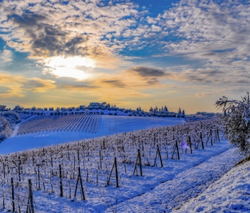Franco-Italian Selection (12)