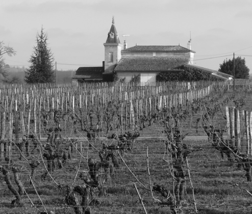 Jancis Robinson Bordeaux Case