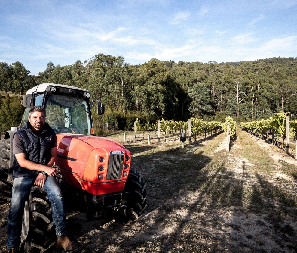 Franco’s Chardonnay Dozen