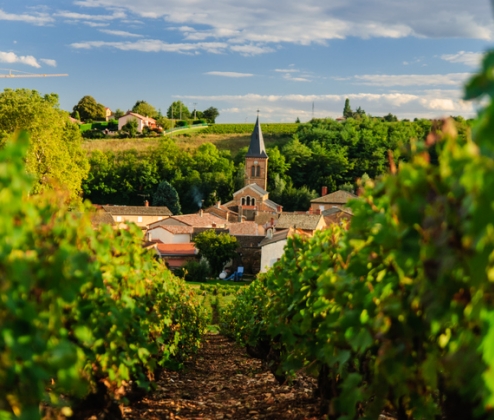 Lagneau Cru Dozen