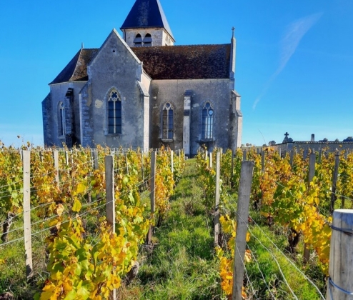 Ticket to Burgundy En Primeur 2024 Tasting