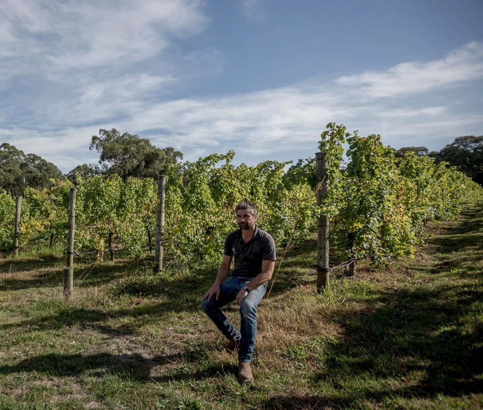 Hoddles Creek Tutored Tasting