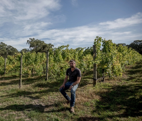 Hoddles Creek Tutored Tasting