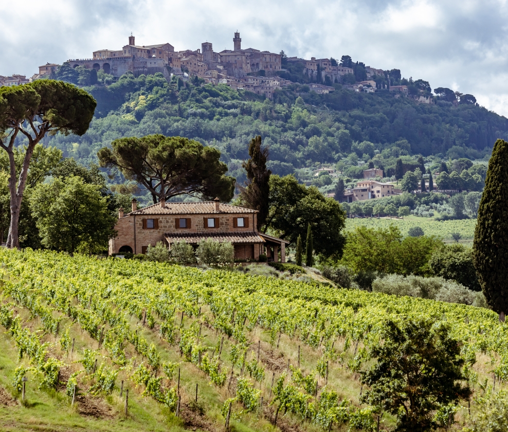 Italian Terroirs Dozen