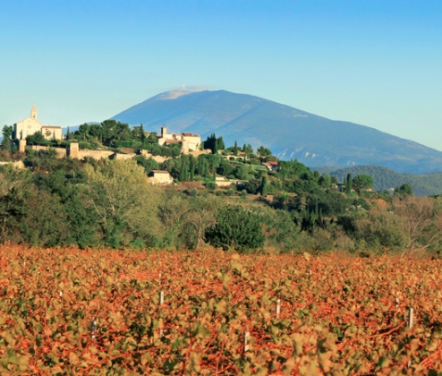 The Rhone Alone Six