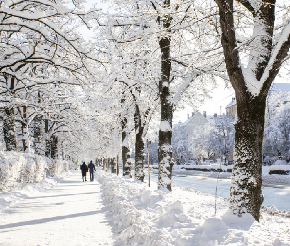 The Red Christmas Case