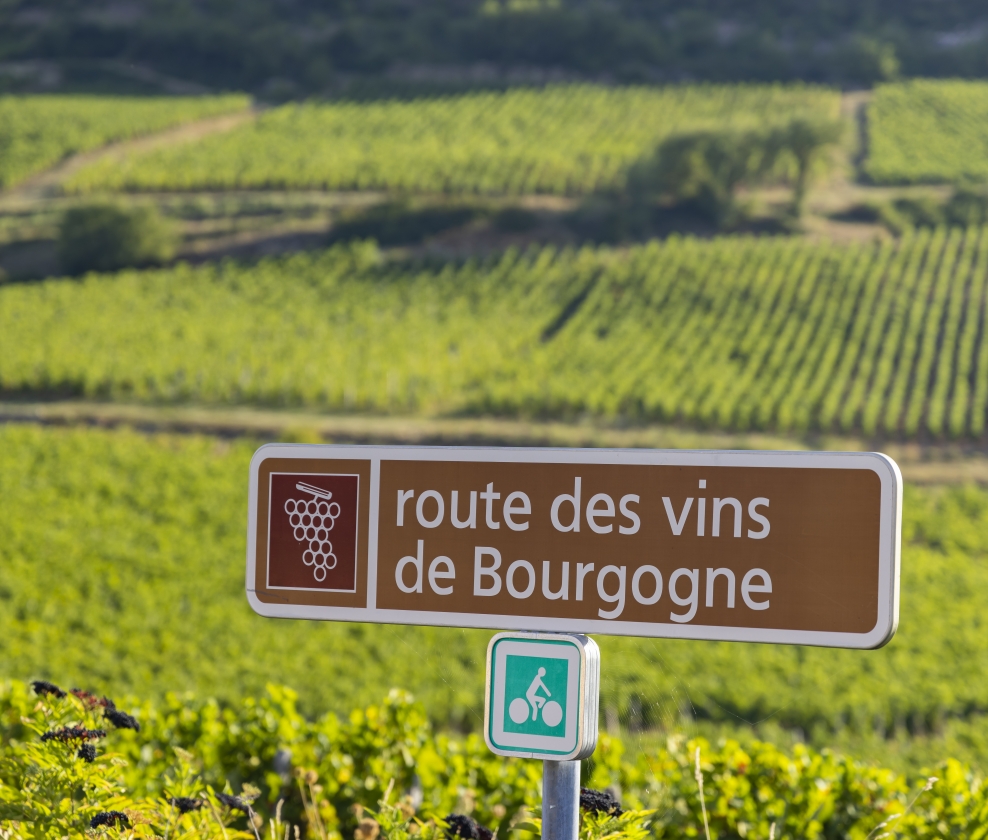 Burgundy En Primeur 2024 Vintage Tasting