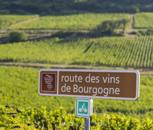 Burgundy En Primeur 2024 Vintage Tasting