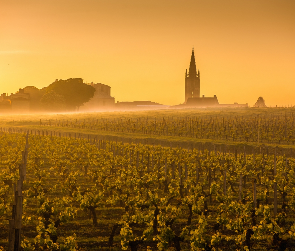 Christmas Claret Case