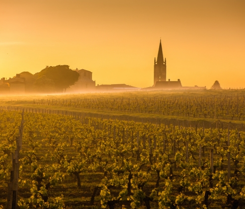 Christmas Claret Case