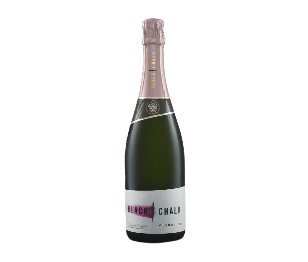 Black Chalk, Wild Rose, Hampshire, 2022