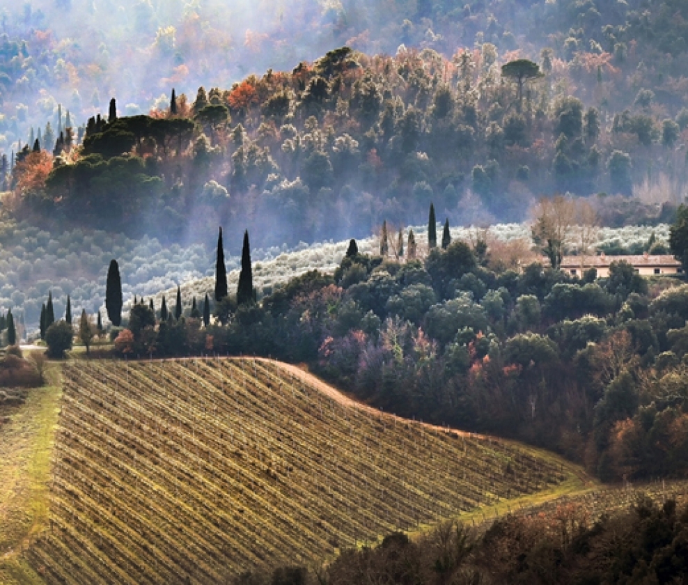 Tuscan Christmas Red Pair