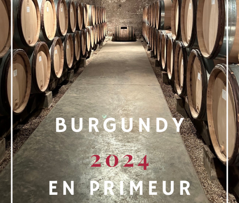 Chateau du Bourgneuf, Mercurey Rouge, 1er Cru Clos L'Eveque, Burgundy EP 2024 (Case of 12 bottles) 