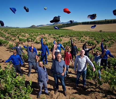 Cape Grenache Dozen