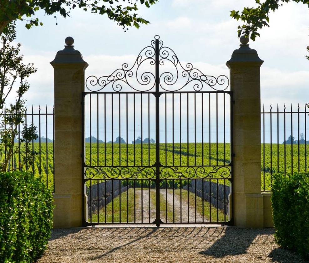 Spring Bordeaux Case