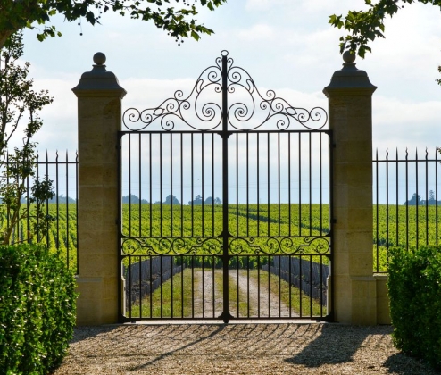 Spring Bordeaux Case