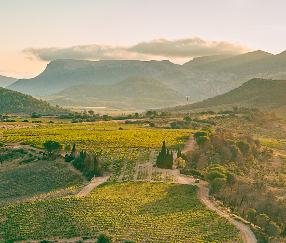 Roussillon Rocks Dozen