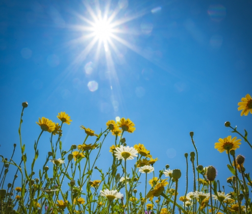 Spring Whites & Reds Dozen