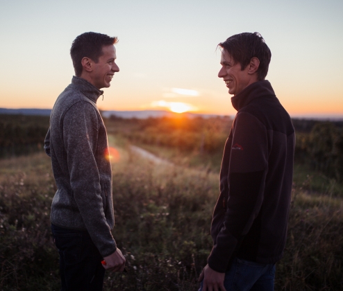 Sax New Arrivals Dozen