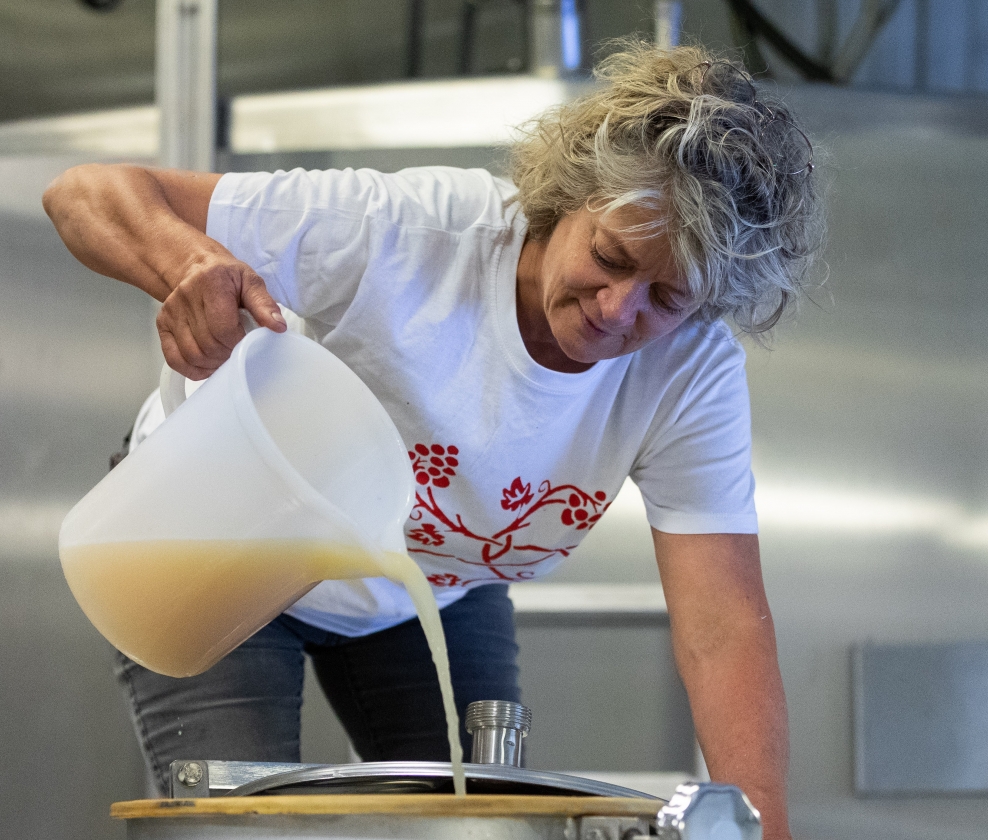 Davenne Duo Dozen 2026