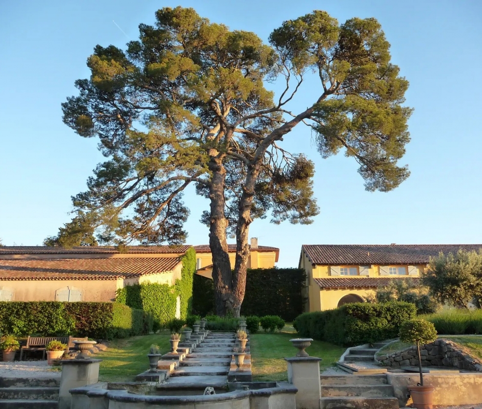 Ferry Lacombe Provence Dozen