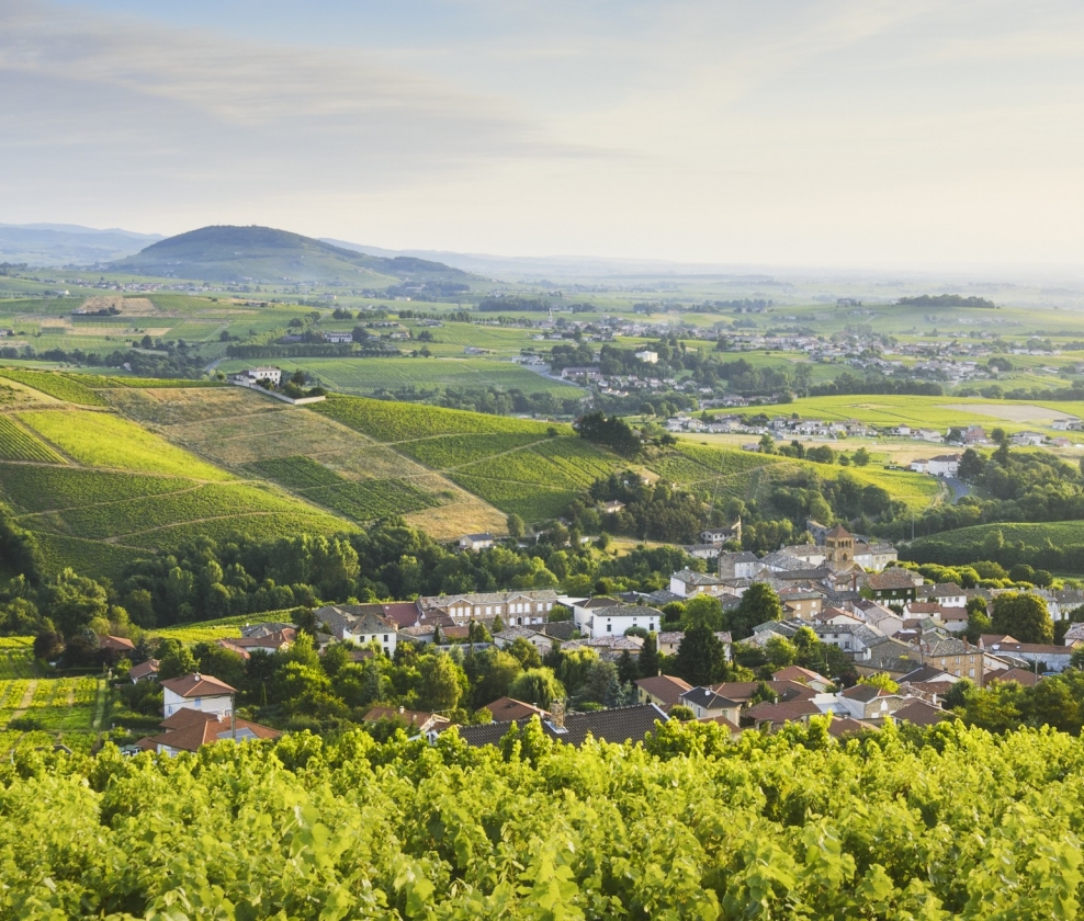 Lagneau Beaujolais Twelve