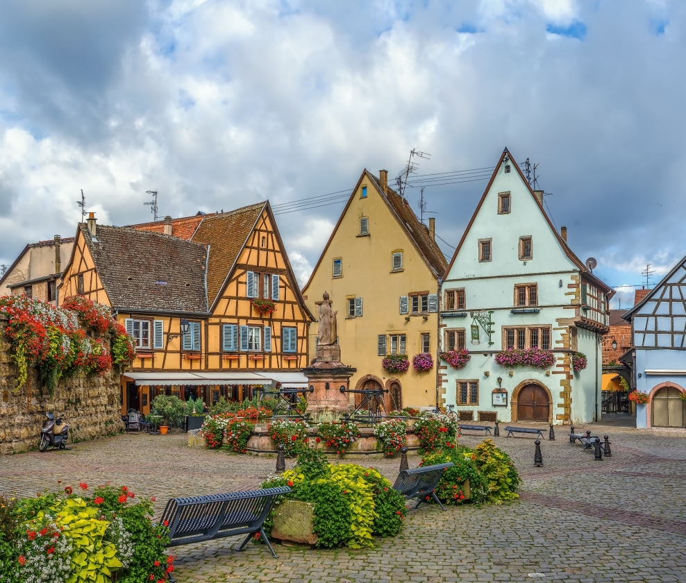 The Meyer Mixed Dozen 