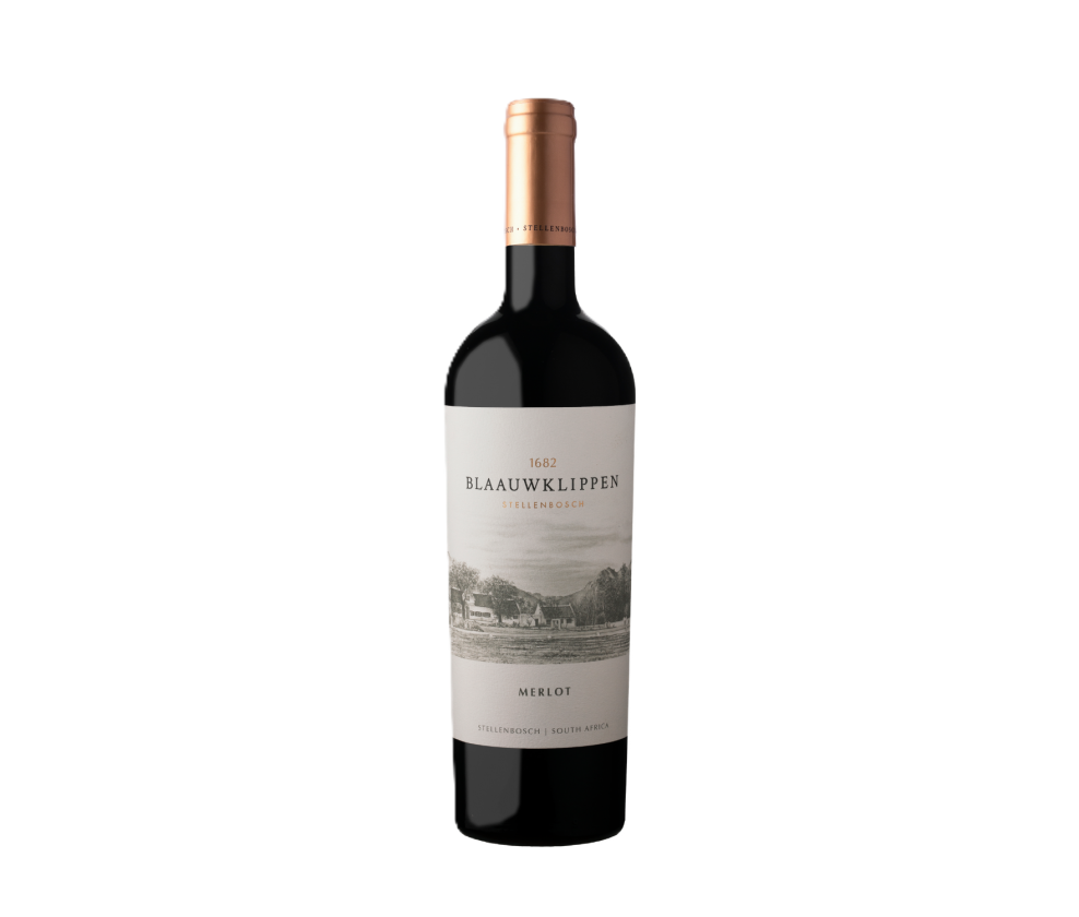 Blaauwklippen Estate Merlot, Stellenbosch, 2024 (Stained Labels)