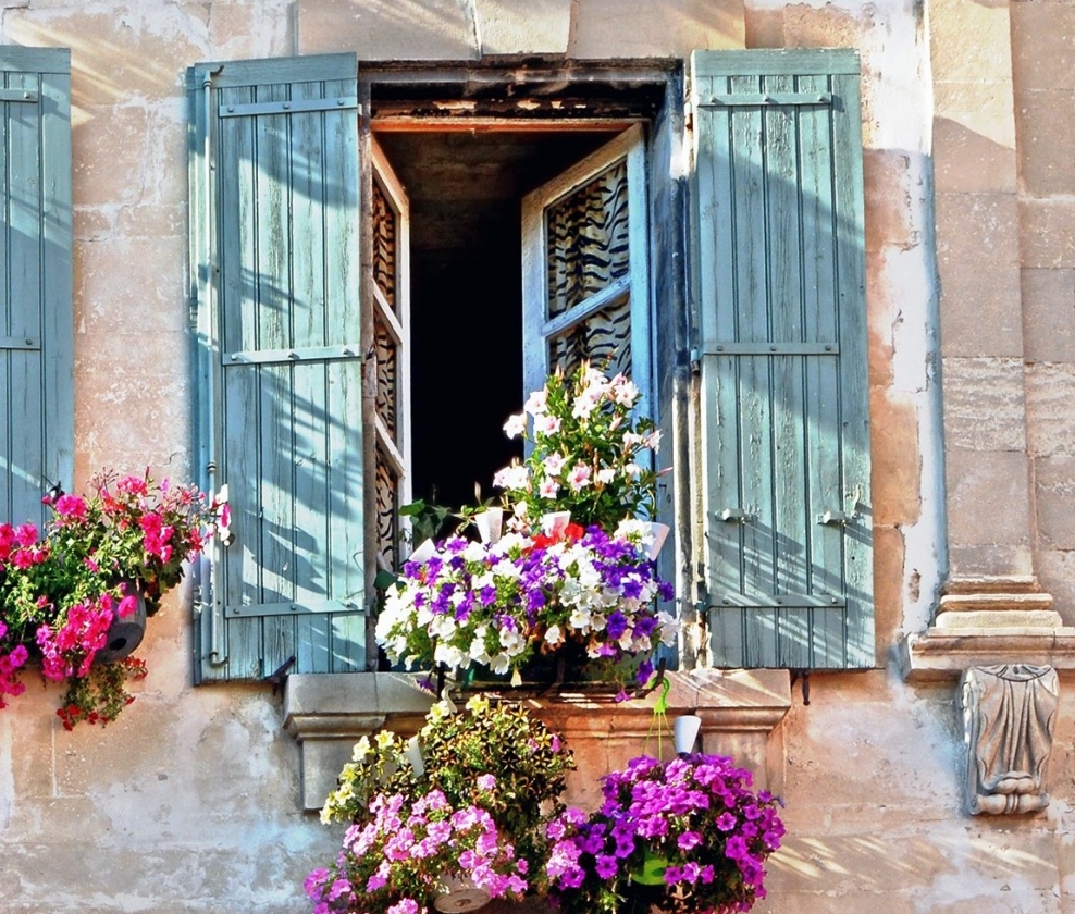 The Pale Provence Dozen
