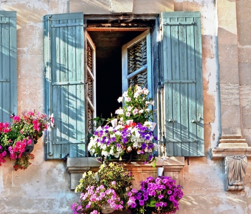 The Pale Provence Dozen
