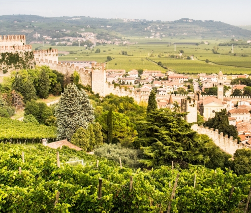 Super Soave Duo 