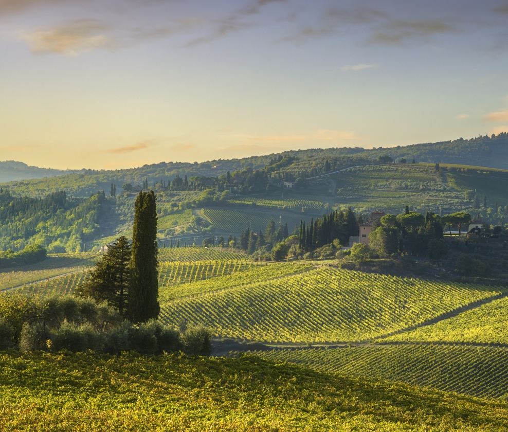 Nostra Italia Tasting Ticket