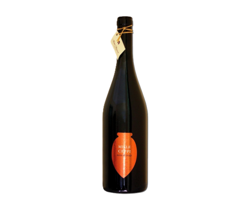 Biancardi, Mille Ceppi, Amphora Nero di Troia, Puglia, 2021